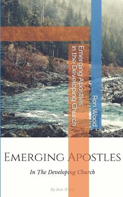 Book cover for Emerging Apostles in the Developing Church