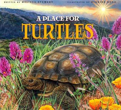 Book cover for A Place for Turtles