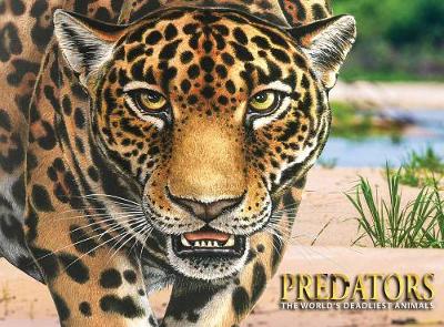 Book cover for Predators