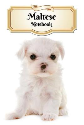 Book cover for Maltese Notebook