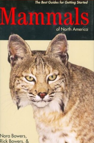 Cover of Kaufman Focus Guide to Mammals of North America