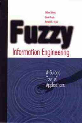 Book cover for Fuzzy Information Engineering