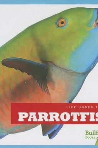 Cover of Parrotfish