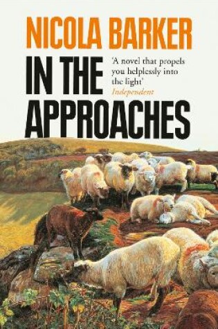 Cover of In the Approaches