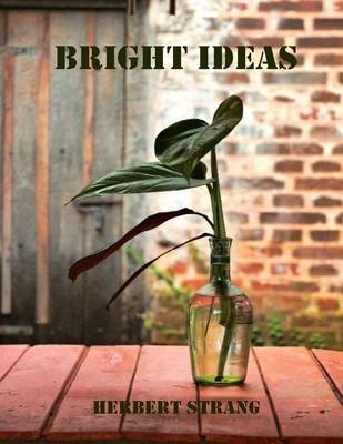 Book cover for Bright Ideas (Illustrated)