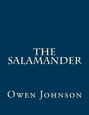 Book cover for The Salamander