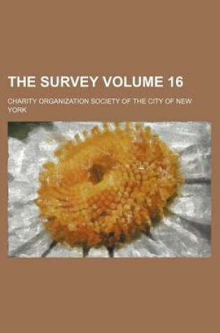 Cover of The Survey Volume 16