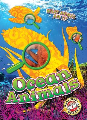 Cover of Ocean Animals