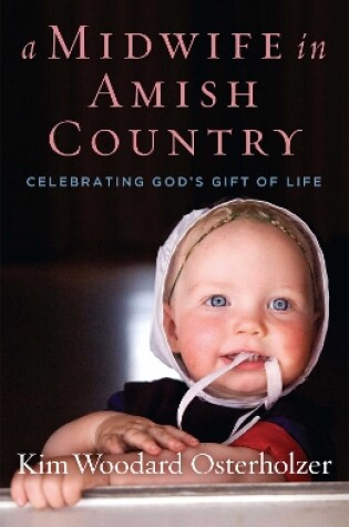 Cover of A Midwife in Amish Country