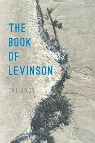 Cover of The Book of Levinson
