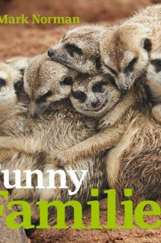 Cover of Funny Families