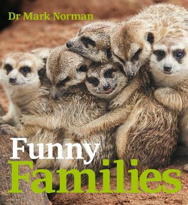 Book cover for Funny Families