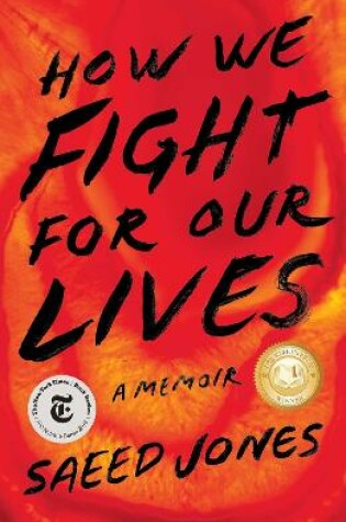 Cover of How We Fight for Our Lives