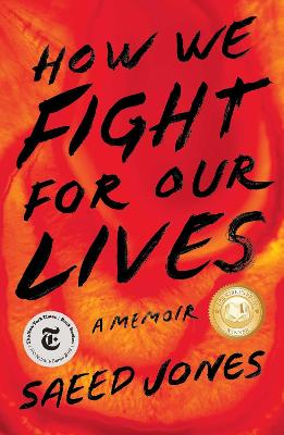 Book cover for How We Fight for Our Lives