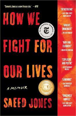 Book cover for How We Fight for Our Lives