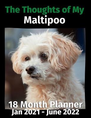 Book cover for The Thoughts of My Maltipoo