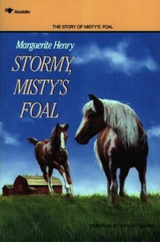 Cover of Stormy, Misty's Foal