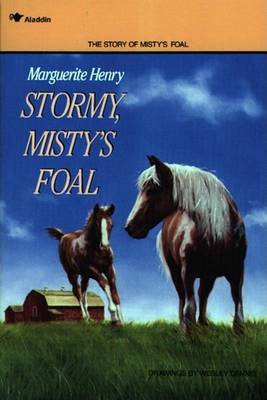 Book cover for Stormy, Misty's Foal