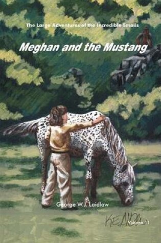 Cover of Meghan and the Mustang