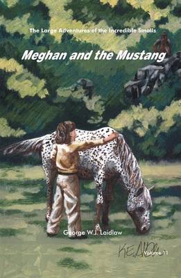 Book cover for Meghan and the Mustang