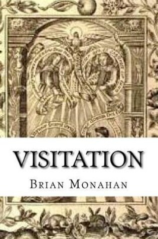 Cover of Visitation