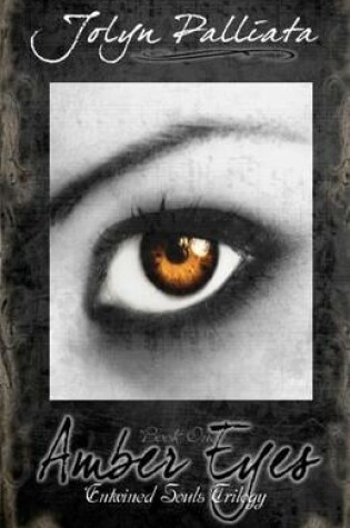 Cover of Amber Eyes