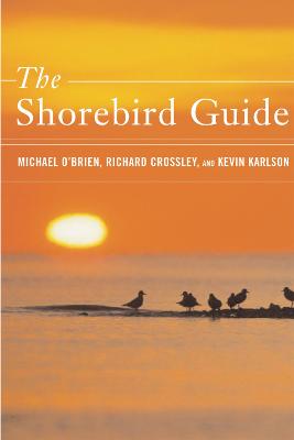 Book cover for The Shorebird Guide