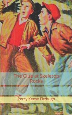 Book cover for The Clue at Skeleton Rocks