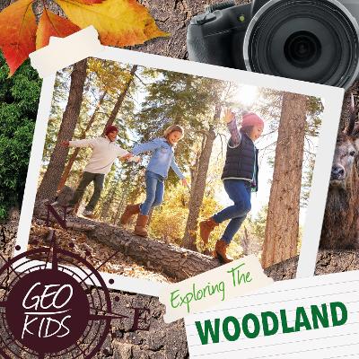Book cover for Exploring the Woodland