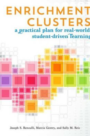 Cover of Enrichment Clusters