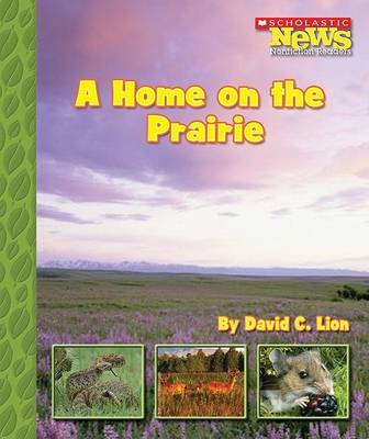 Book cover for A Home on the Prairie