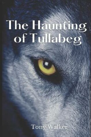 Cover of The Haunting of Tullabeg