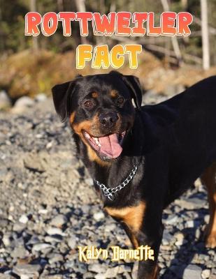 Book cover for Rottweiler Fact