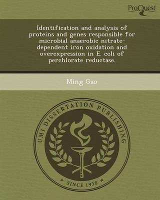 Book cover for Identification and Analysis of Proteins and Genes Responsible for Microbial Anaerobic Nitrate-Dependent Iron Oxidation and Overexpression in E