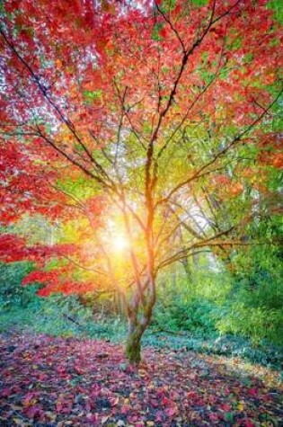 Cover of Maple Tree in the Japanese Garden in Seattle Washington USA Journal