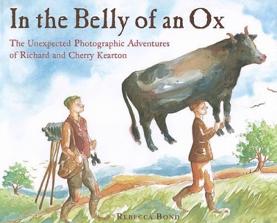 Book cover for In the Belly of an Ox