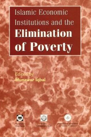 Cover of Islamic Economic Institutions and the Elimination of Poverty