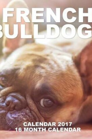 Cover of French Bulldogs Calendar 2017