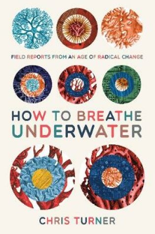 Cover of How to Breathe Underwater