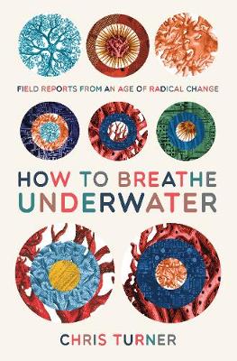 Book cover for How to Breathe Underwater