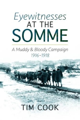 Book cover for Eyewitnesses at the Somme