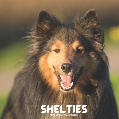 Book cover for Shelties 2021 Wall Calendar