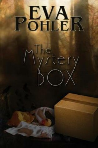 Cover of The Mystery Box