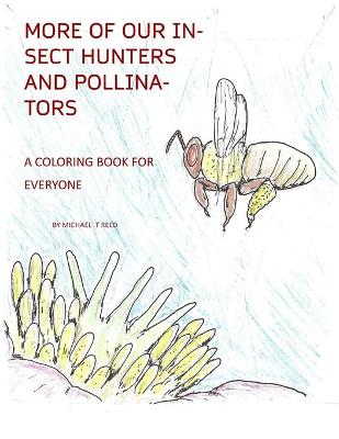 Book cover for More of our Insect Hunters and Pollinators