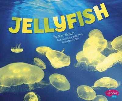 Cover of Jellyfish