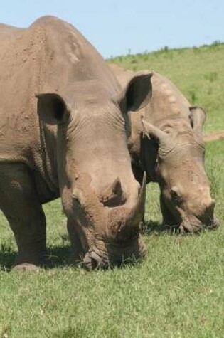 Cover of Two Grazing Rhinos African Animal Journal