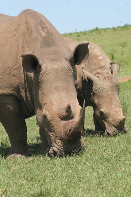 Book cover for Two Grazing Rhinos African Animal Journal