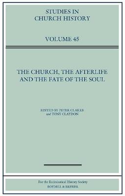 Book cover for The Church, the Afterlife and the Fate of the Soul