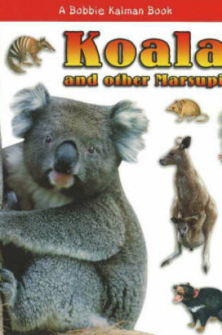 Cover of Koalas and other Marsupials