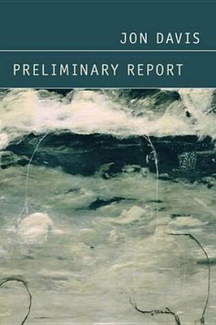 Cover of Preliminary Report